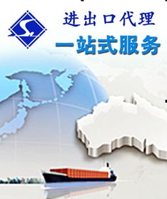 中小企業代理商服務 國內貿易代理與出口貿易服務全面指南